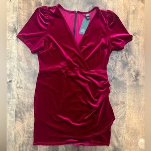 NWT Wild Fable Fuchsia velvet dress